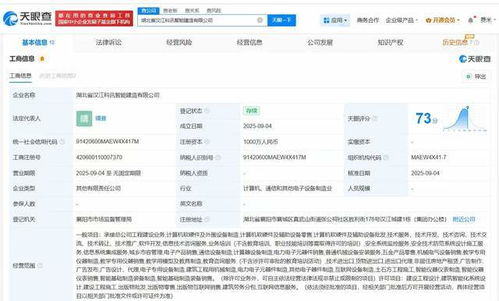 科大訊飛攜手合作伙伴在湖北成立智能建造公司，深耕計(jì)算機(jī)軟硬件技術(shù)創(chuàng)新